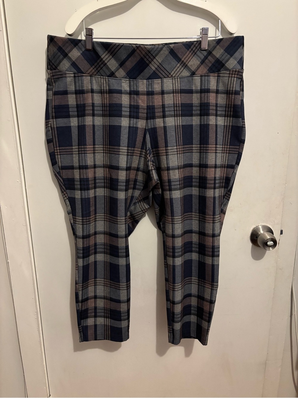 torrid Plaid Pull-On Cropped Pants in Blue and Brown